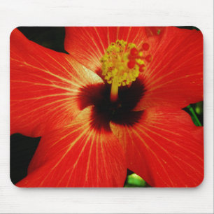 Ljusröd Orange Hibiscus Flower Musmatta