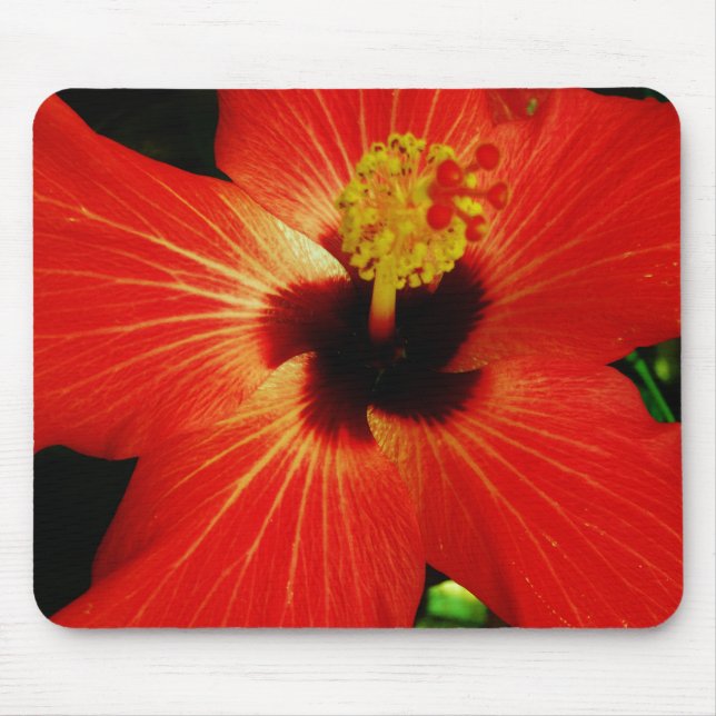 Ljusröd Orange Hibiscus Flower Musmatta (Framsidan)