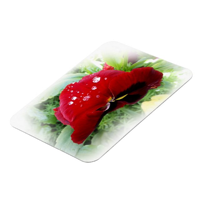 Ljusröd pansy magnet (Vänstra Sidan)