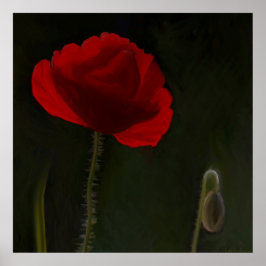 Ljusröd vallmo på mörkens bakgrundsmålning. poster