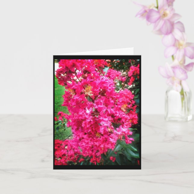 Ljusrosa Blommar - Födelsedagsönskningar Kort (Orkide)