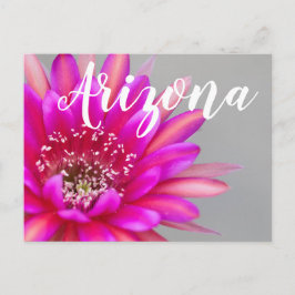 Ljusrosa kaktusblomblad, Arizona Vykort