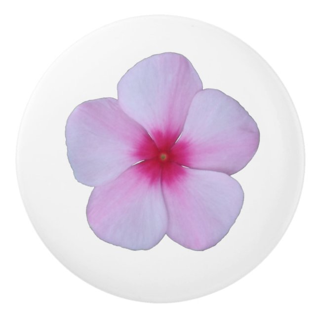 Ljusrosa Phlox Keramisk Knopp (Framsidan)