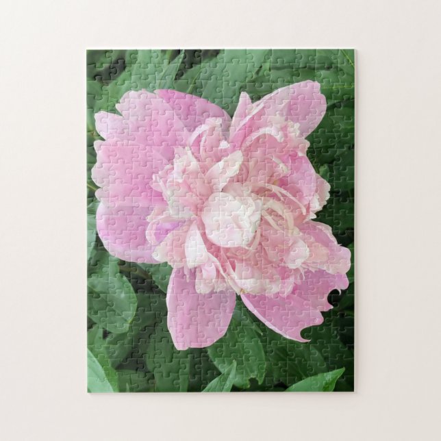 Ljusrosa Pion Pussel (Vertikal)