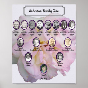 Ljusrosa rosbild med ovala förfädersbilder poster