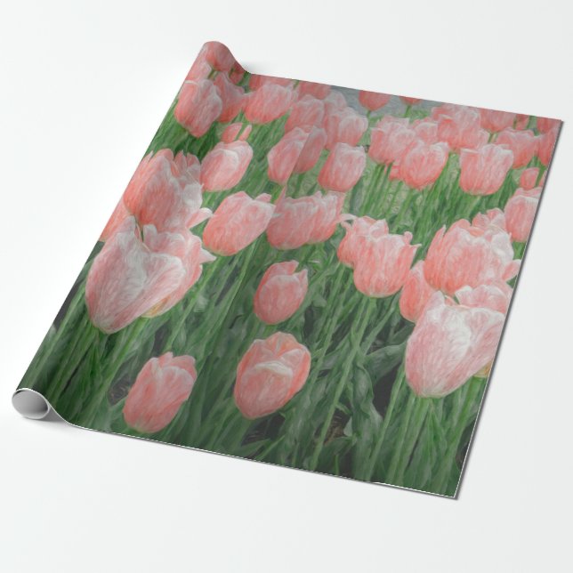 Ljusrosa tulpanpresentpapper presentpapper (Utrullad)