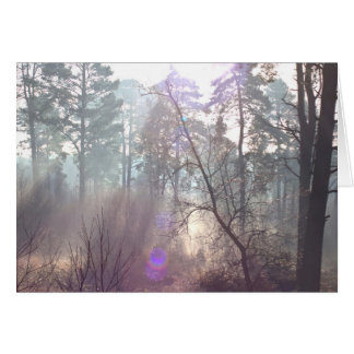 Ljussolljus på morgonen genom Mist Blank Card Hälsningskort