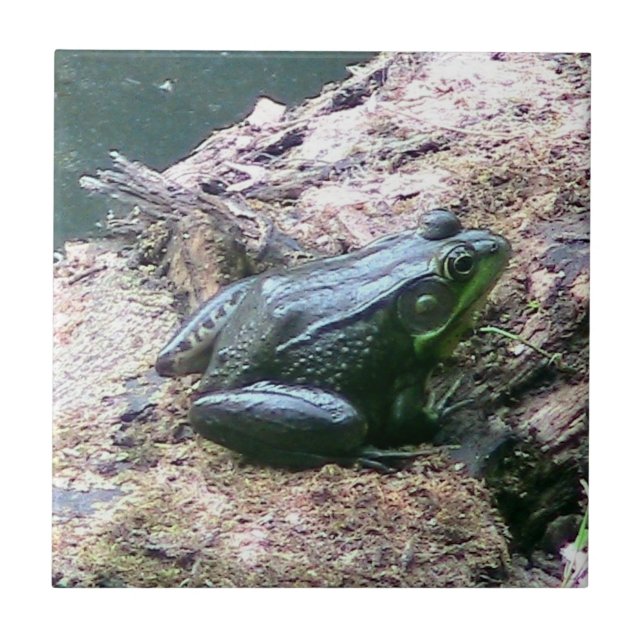 Ljusstark Grönt grov dekorativ platta Kakelplatta (Framsidan)