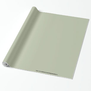 Ljust Blek Sage Grönt Elegant Neutralt Solid Färg Presentpapper
