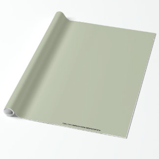 Ljust Blek Sage Grönt Elegant Neutralt Solid Färg Presentpapper
