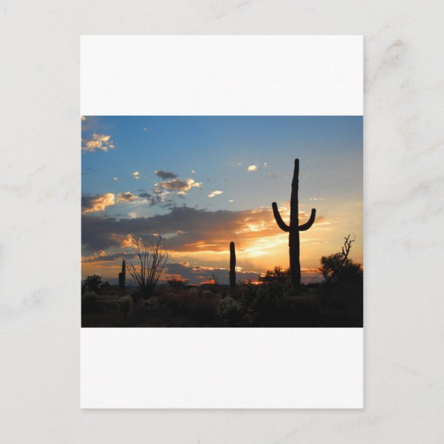 Ljust bleknar i en eldsvåda vykort (Framsida)