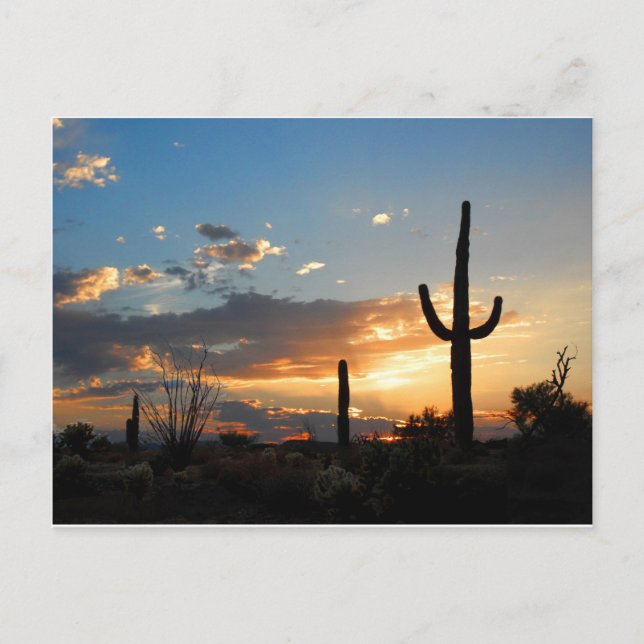 Ljust bleknar i en eldsvåda vykort (Framsida)