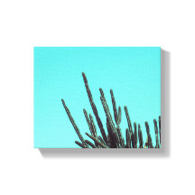 Ljust Grön Kaktus Sukkulenta Växter Minimalism