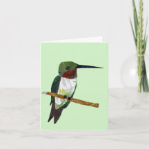 Ljust grönt Hummingbird-kort