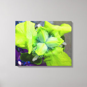 Ljust grönt Iris Canvas