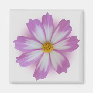 Ljust lila magnet