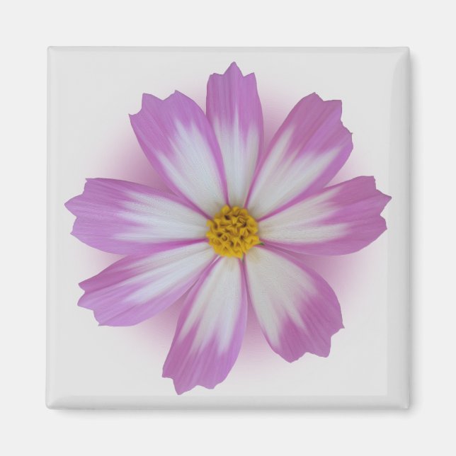 Ljust lila magnet (Framsidan)