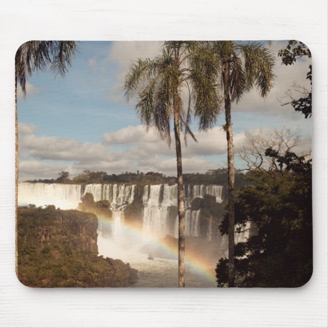 Ljust Musmatta (Framsidan)