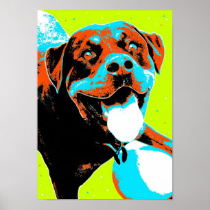Ljust och roligt Rottweiler porträtt Poster