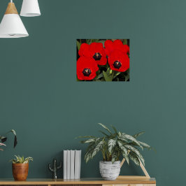 Ljust röda tulpaner blomfotografi poster