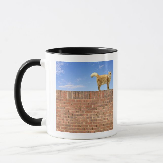 Ljust rödbrun kattanseende på tegelstenväggen mugg (Vänster)