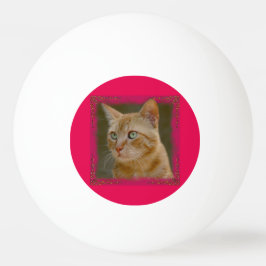 Ljust rödbrun kattPingPong boll