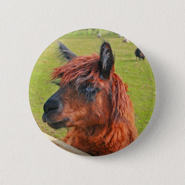 Ljust rödbrun Llama Knapp (Framsida)