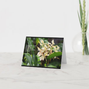 Ljust rödbrun scripturekort för vit kort