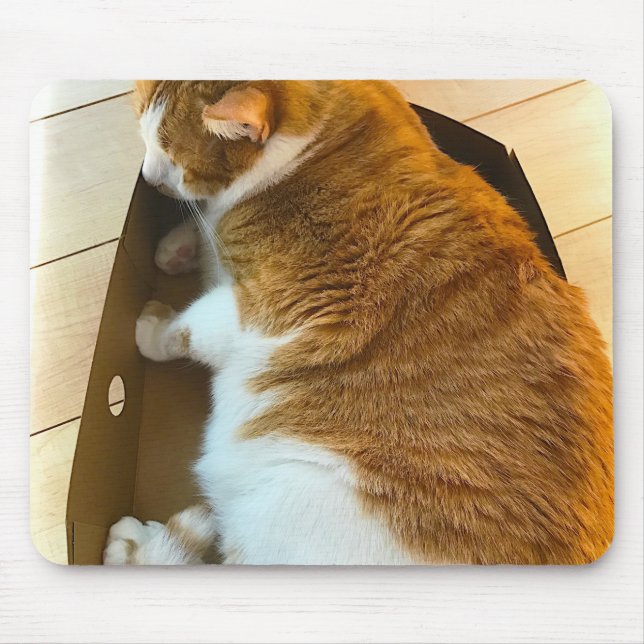 Ljust rödbrun tabby i kartong musmatta (Framsidan)