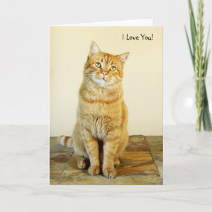 Ljust rödbrun tabby kattkärlekkort kort
