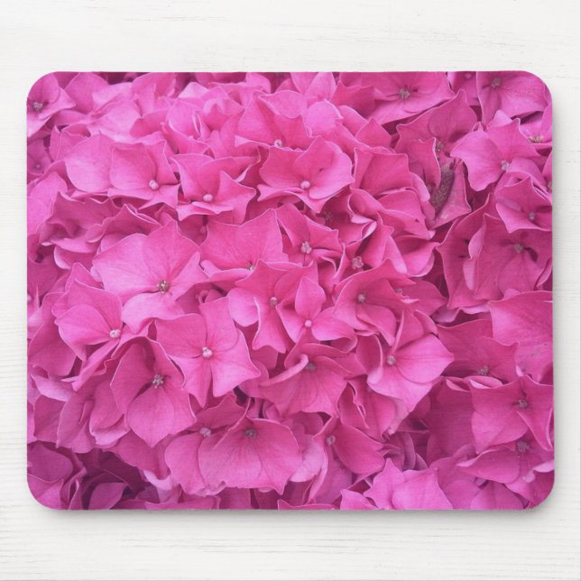Ljust rosa hortensiablommor musmatta (Framsidan)
