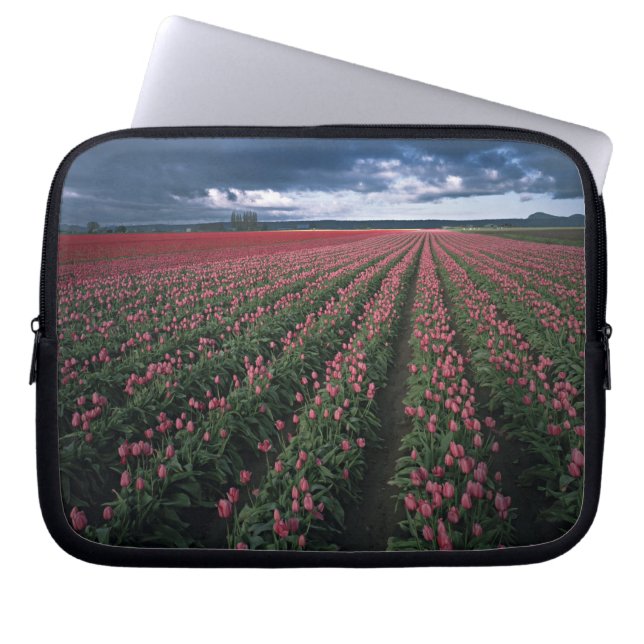 Ljust rosa och röda tulpaner lyser under mörker laptop sleeve (Framsidan)