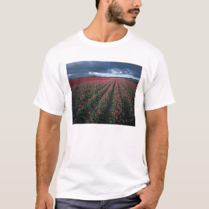 Ljust rosa och röda tulpaner lyser under mörker tee shirt