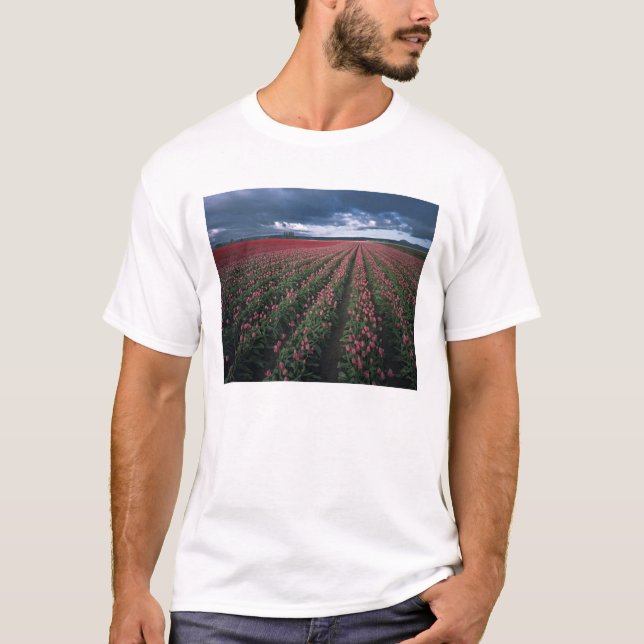 Ljust rosa och röda tulpaner lyser under mörker tee shirt (Framsida)