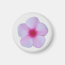 ljust rosa Phlox Magnet