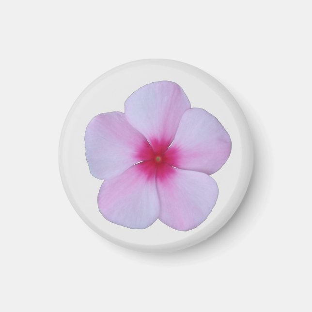 ljust rosa Phlox Magnet (Framsidan)