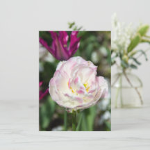 Ljust rosa tulpaner på en solig dag