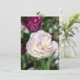 Ljust rosa tulpaner på en solig dag inbjudningar