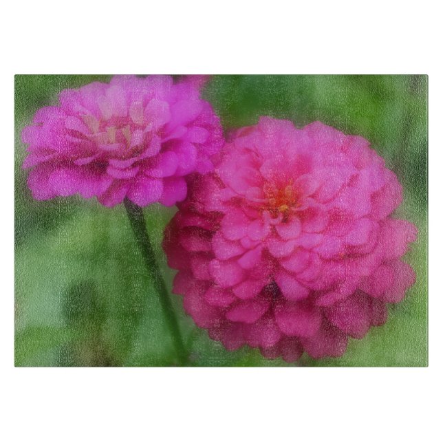 Ljust rosa Zinnia-blommor (Framsidan)