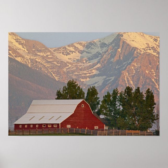 Ljust rött lada mot Mission Mountains i Poster (Framsidan)