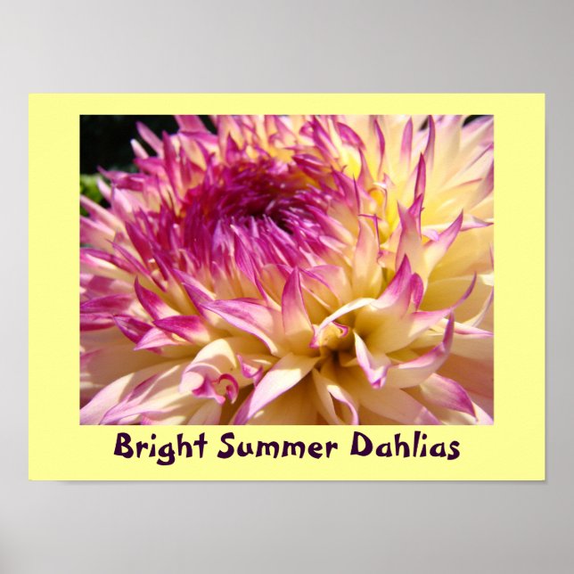 Ljust sommar-dahlia konsttryck lila dahlia poster (Framsidan)