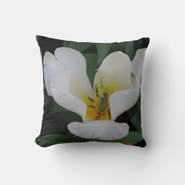 ljust vit kudde (Framsida)