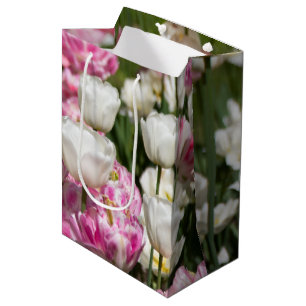 Ljust vita och rosa tulpaner på en solig dag