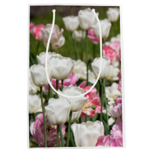 Ljust vita och rosa tulpaner på en solig dag