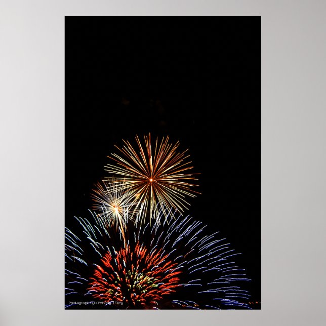 Ljustryckares blommor poster (Framsidan)