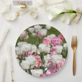 Ljusvita och rosa tulpaner på en solig dag