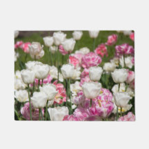 Ljusvita och rosa tulpaner på en solig dag