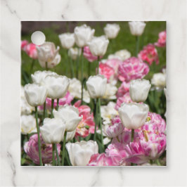 Ljusvita och rosa tulpaner på en solig dag gåvor etiketter