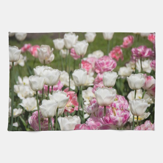 Ljusvita och rosa tulpaner på en solig dag kökshandduk (Horisontell)
