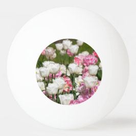 Ljusvita och rosa tulpaner på en solig dag pingisboll